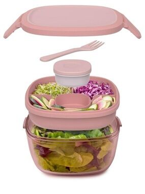 Bentgo All in One Salad Container
